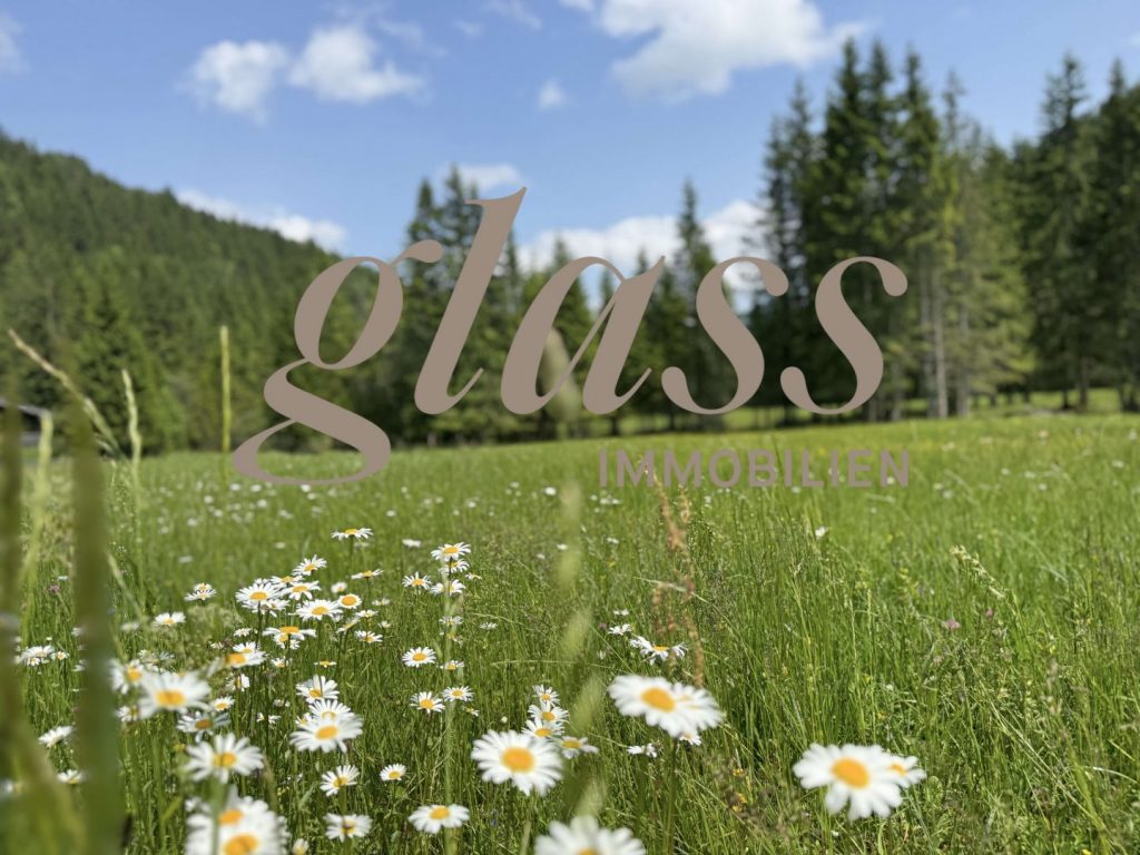 Glass. Immobilien