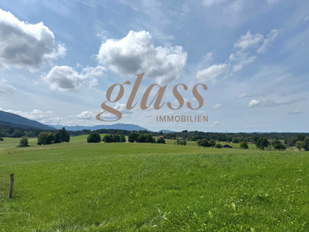 Glass Immobilien