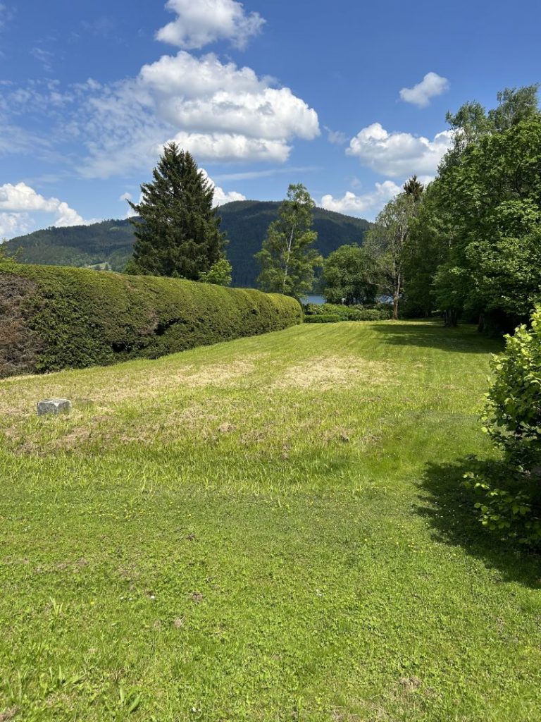 IMG_1959